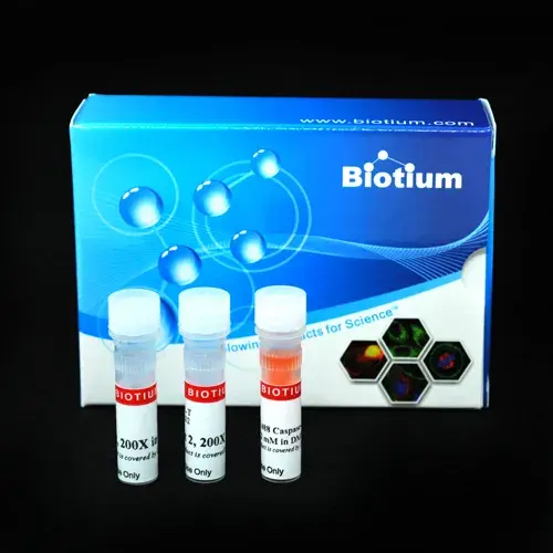 NucView 488 and RedDot 2 Apoptosis and Necrosis Kit