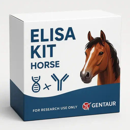 Horse 5-HIAA ELISA Kit