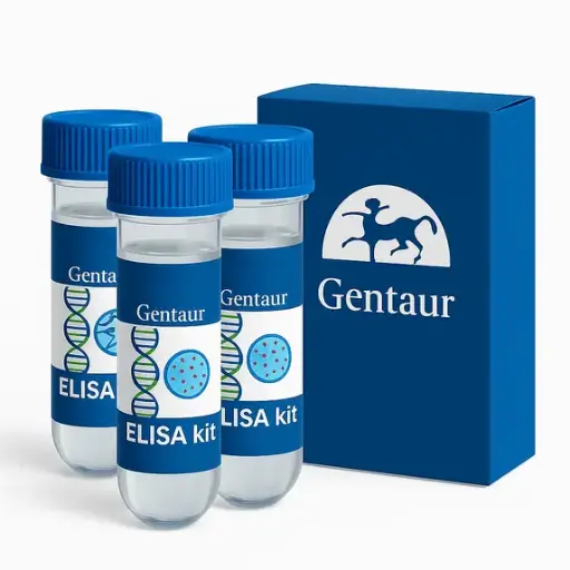[KA0779] Trypsin Activity Assay Kit - 1 kit