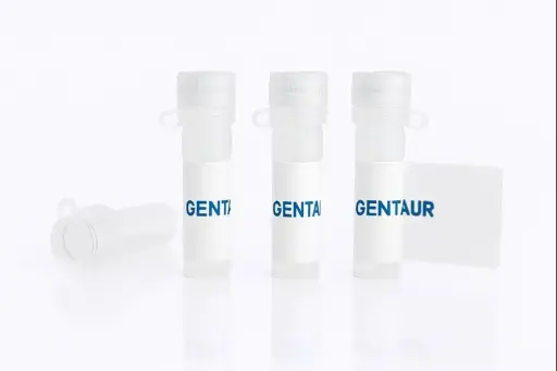 [pept25sk10616] HRP-Labeled CD3D-CD3E Heterodimer , Human (HEK293, His)