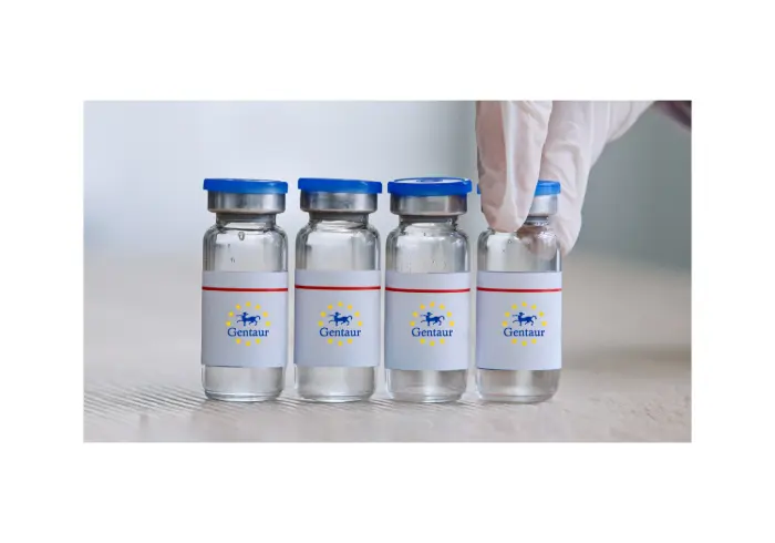 [GEN - VWNV001-1mg] WNV Envelope