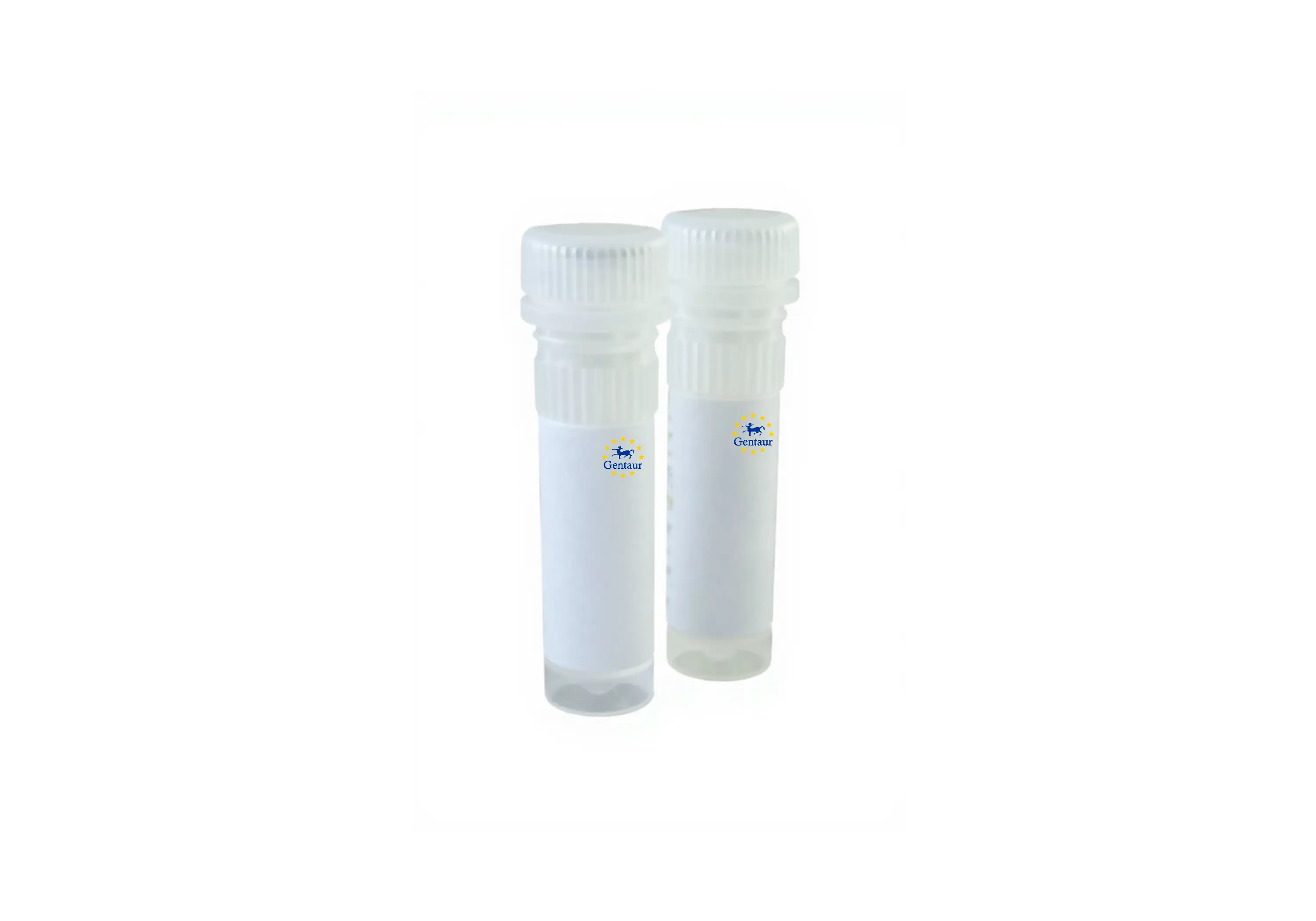[GEN-RAD-QP7005]  probe no rox qpcr kit 500 x 20 l reactions 5 x 1ml