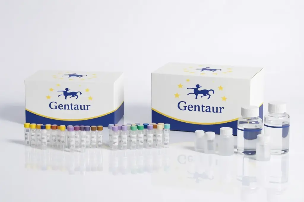 [020-A-01-sf] Anti-HSV (I) gD IgG1 (monoclonal) Produced against a HSV (I) viral concentrate