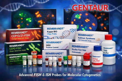 [C743P.0100.10] REMBRANDT® LSI 15q11.2-ISH probe mix biotin