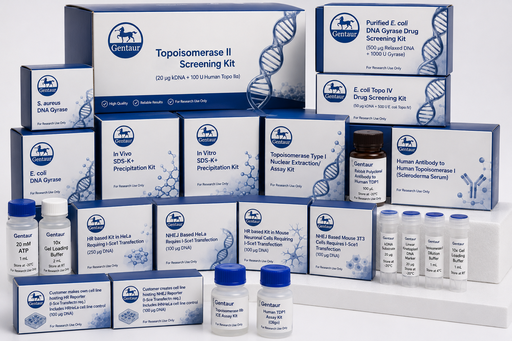 [DR3050-1] HR Pooled Cell analysis:  50ug DR-HRGFP, 50ug pSce1,25ug e-GFP Control